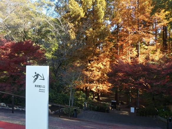 生田緑地紅葉　岡本太郎美術館階段を上がり、見下ろした紅葉