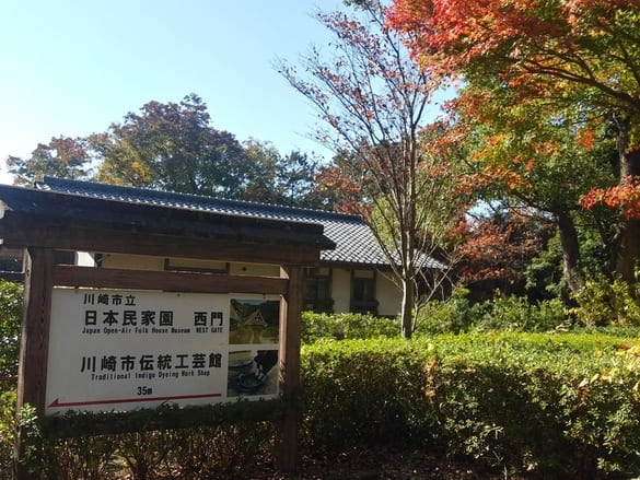 生田緑地紅葉　西口
