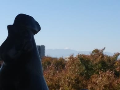 生田緑地紅葉　桝形山展望台　酉の方角から見る富士山