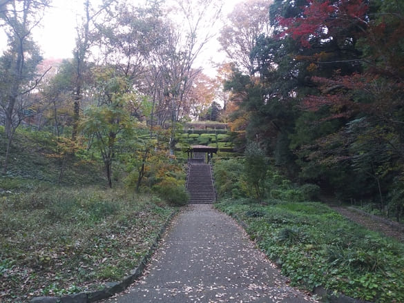 東高根森林公園紅葉 藤棚に向かう階段下