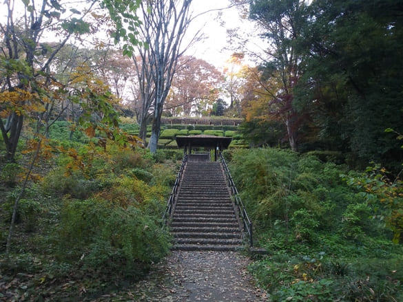 東高根森林公園紅葉 藤棚に向かう階段下こんなに階段って小さかったか?
