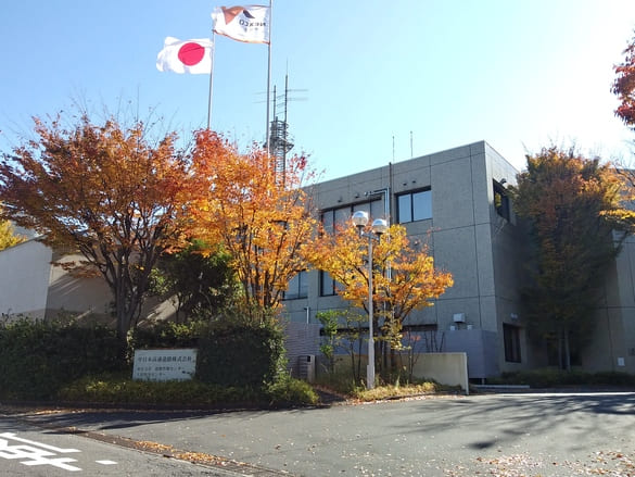 川崎市宮前区その他の紅葉 旧道路公団入口の桜