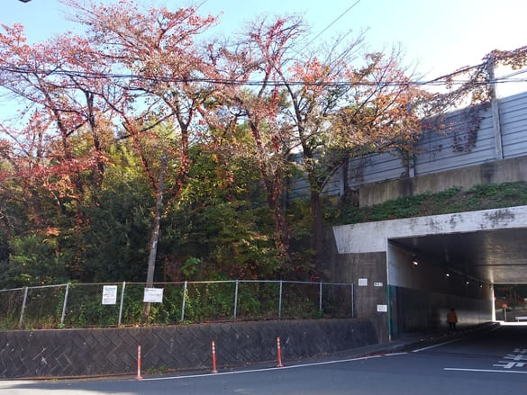 川崎市宮前区その他の紅葉 東名ガード下