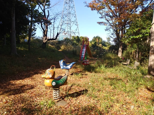 川崎市宮前区その他の紅葉 向ヶ丘緑地のスネ夫