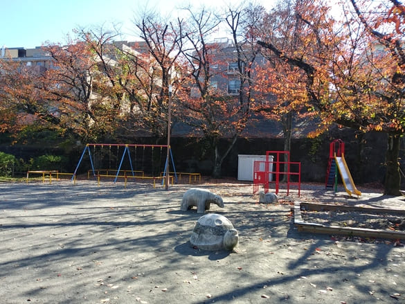 川崎市宮前区その他の紅葉 向ヶ丘公園の桜
