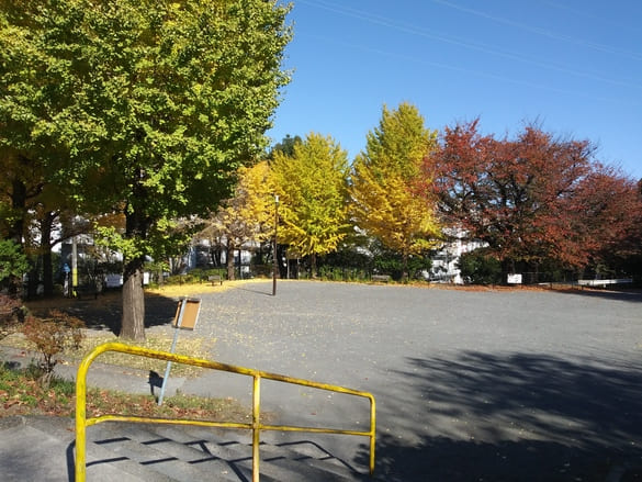 川崎市宮前区その他の紅葉 向ヶ丘公園は桜やイチョウにぐるりと囲まれている公園