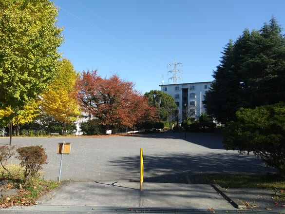 川崎市宮前区その他の紅葉 遊具広場と別の広場の間にある階段から向ヶ丘公園の桜