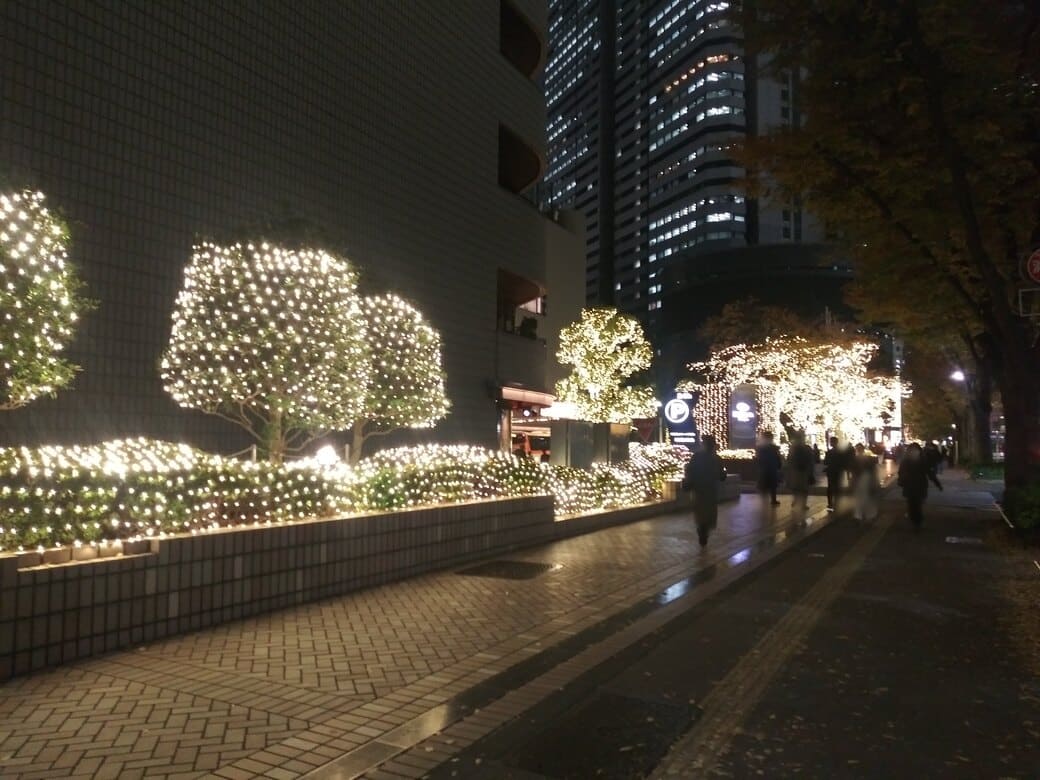 西新宿6_ヒルトン東京(新宿国際ビルディング)のイルミネーション　ヒルトン入口手前　マルク駆られた木や春にはピンクにライトアップされる桜の木に電飾がつけられていてまばゆい