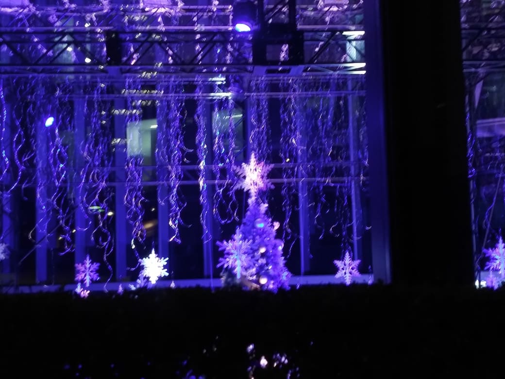 西新宿2_新宿住友ビル_三角広場のイルミネーション　『snow flow』大きなツリーのてっぺんが見える