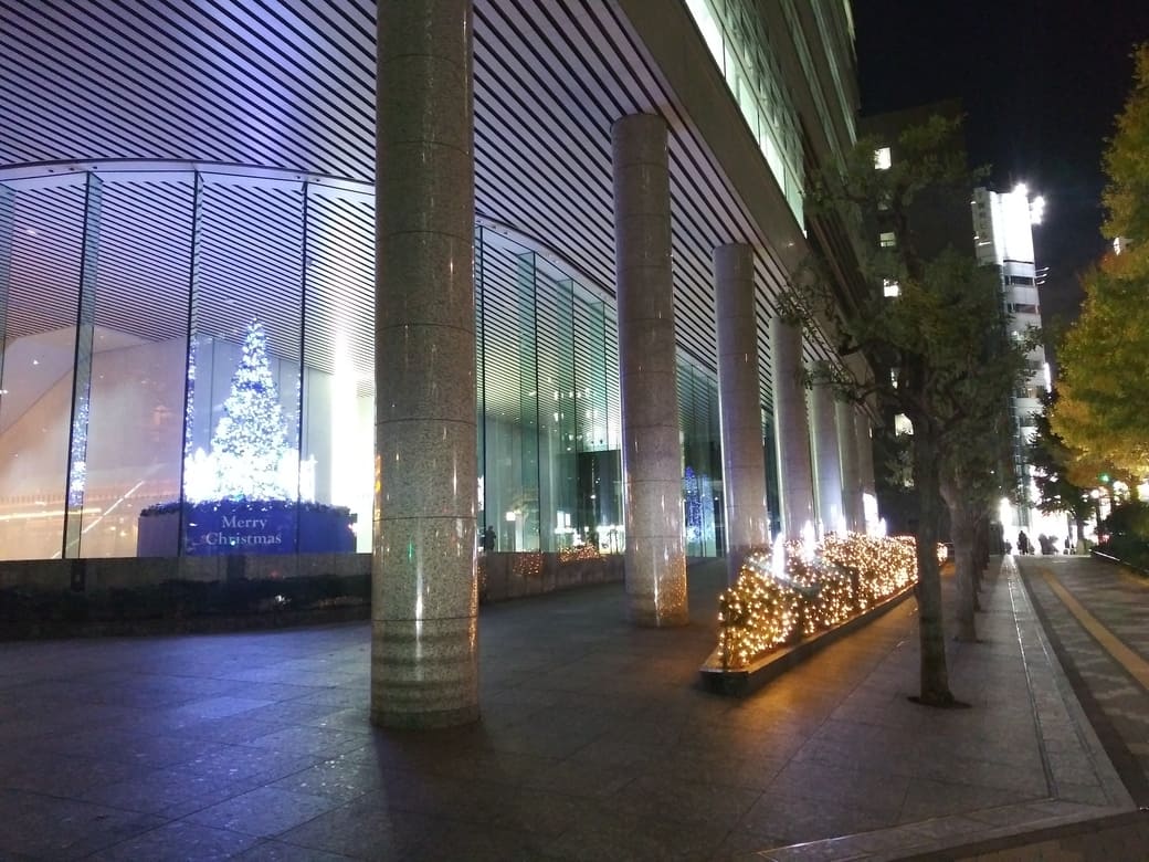 西新宿1_新宿ファーストウエスト　京王プラザホテル側の交差点からみたクリスマスツリー　植込みのイルミネーションと共に