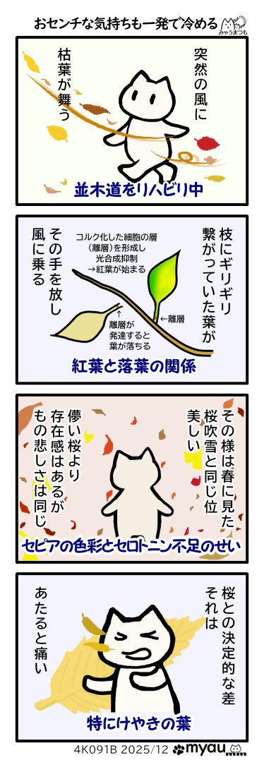 突然の風に枯葉が舞う、枝にギリギリ繋がっていた葉が風に乗ってはなれる、その様は春に見た桜吹雪と同じ位美しい、儚い桜より存在感はあるんがもの悲しさは同じ、桜との決定的差…とれは、枯葉は当たると痛い事　と言う漫画