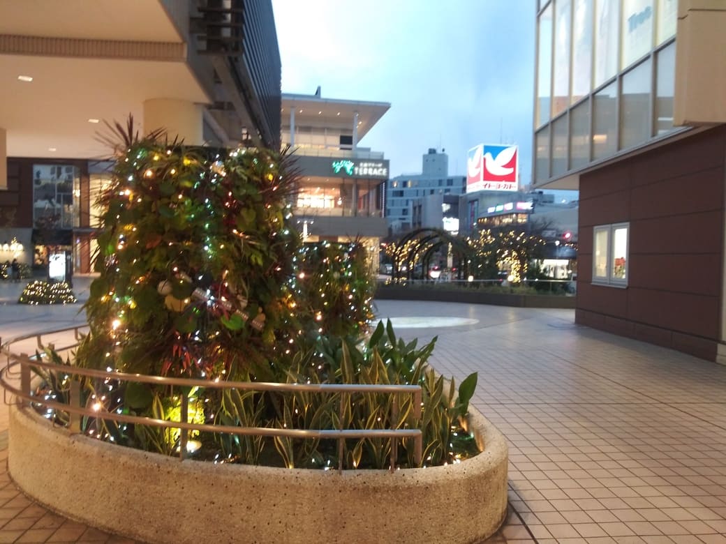 たまプラーザのクリスマスイルミネーション2025年_GATE PLAZA_カルディから交番までの通路　もうすぐ東急百貨店への横断歩道につく位置から見たイトーヨーカドーは塔屋看板のハトがまぶしい