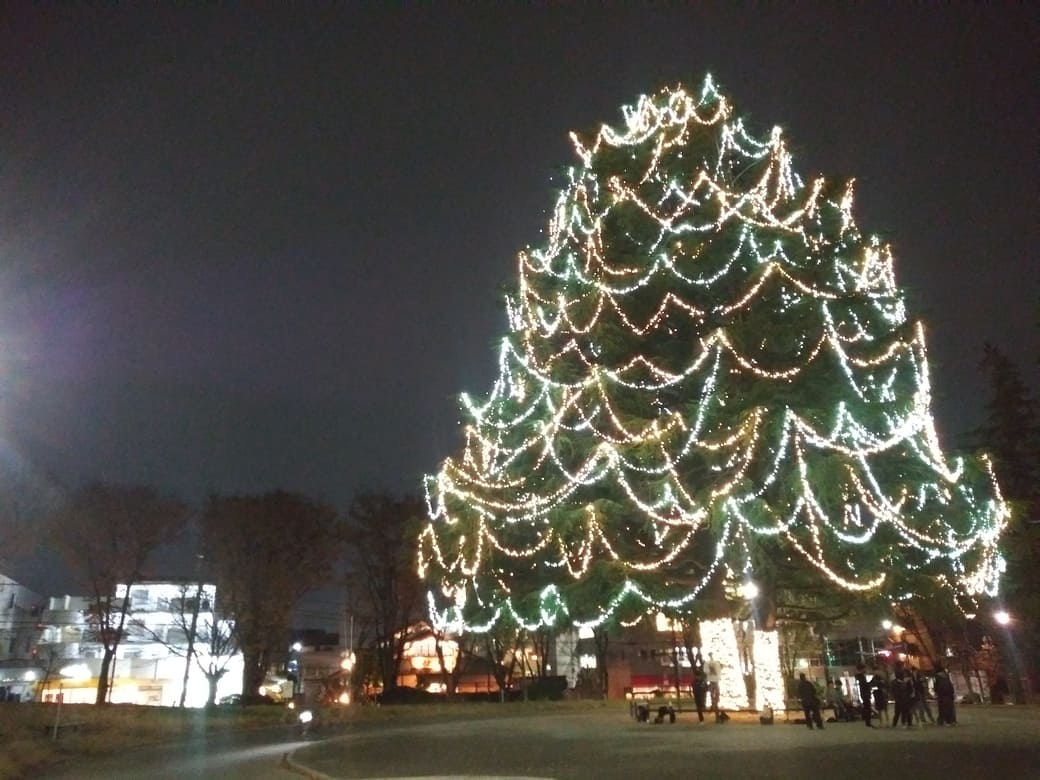 美しが丘公園_ペアツリーイルミネーション　木の向こうに金沢まいもん寿司たまプラーザ店、その左で光り輝いている建物がベルグ4月本店