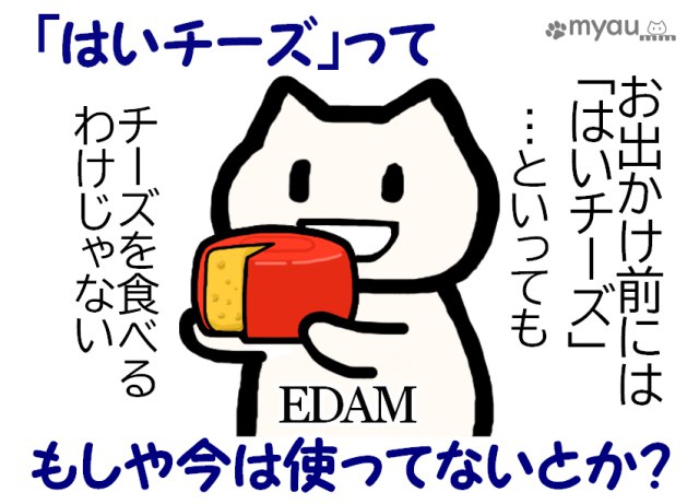 はいチーズってもしや今はもう使っていないとか？という疑問とエダムチーズを持つイラスト