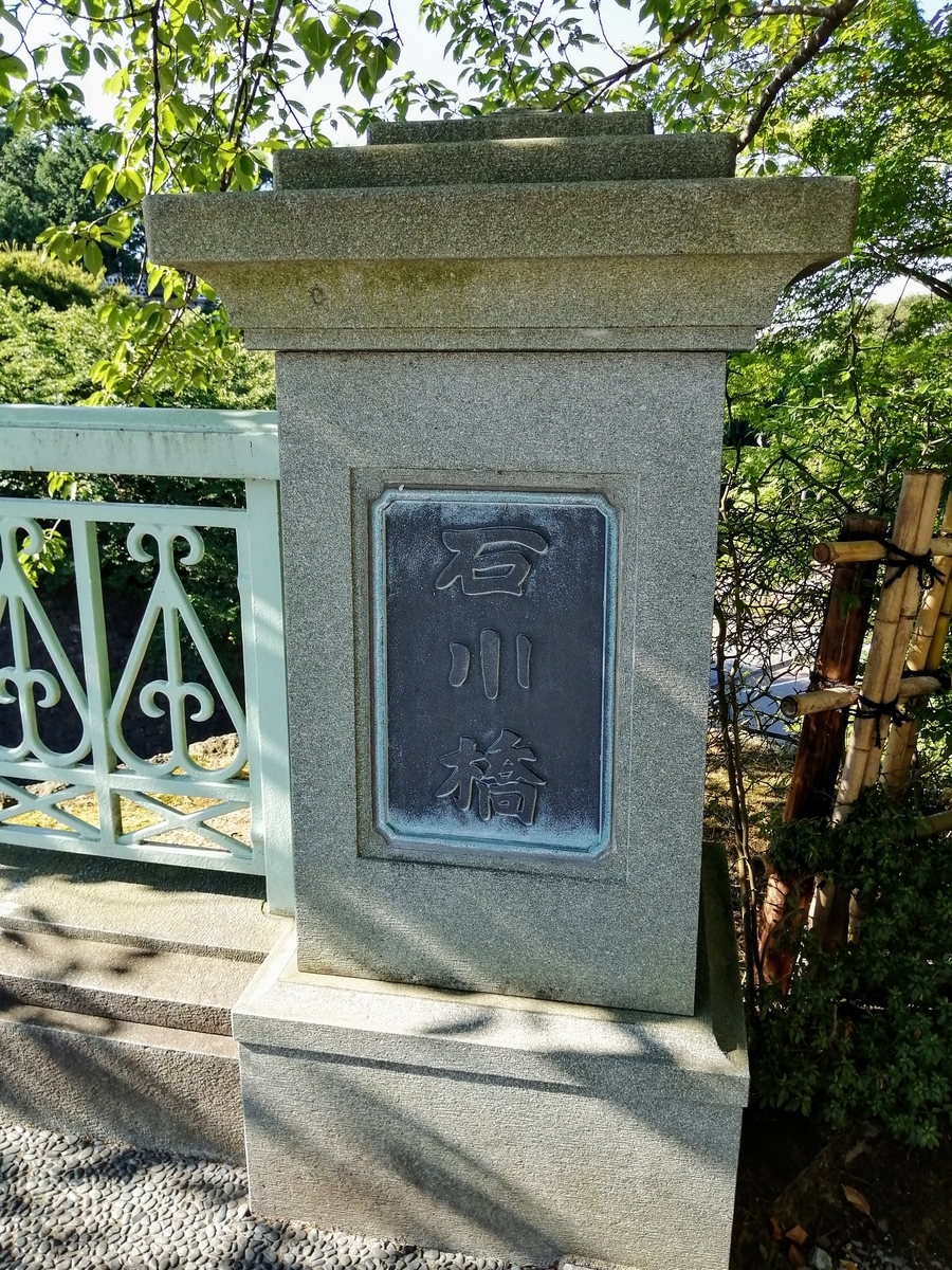 石川の奇跡 激レア]アホーアイトインクォーツクラスター/原石（全長約174mm