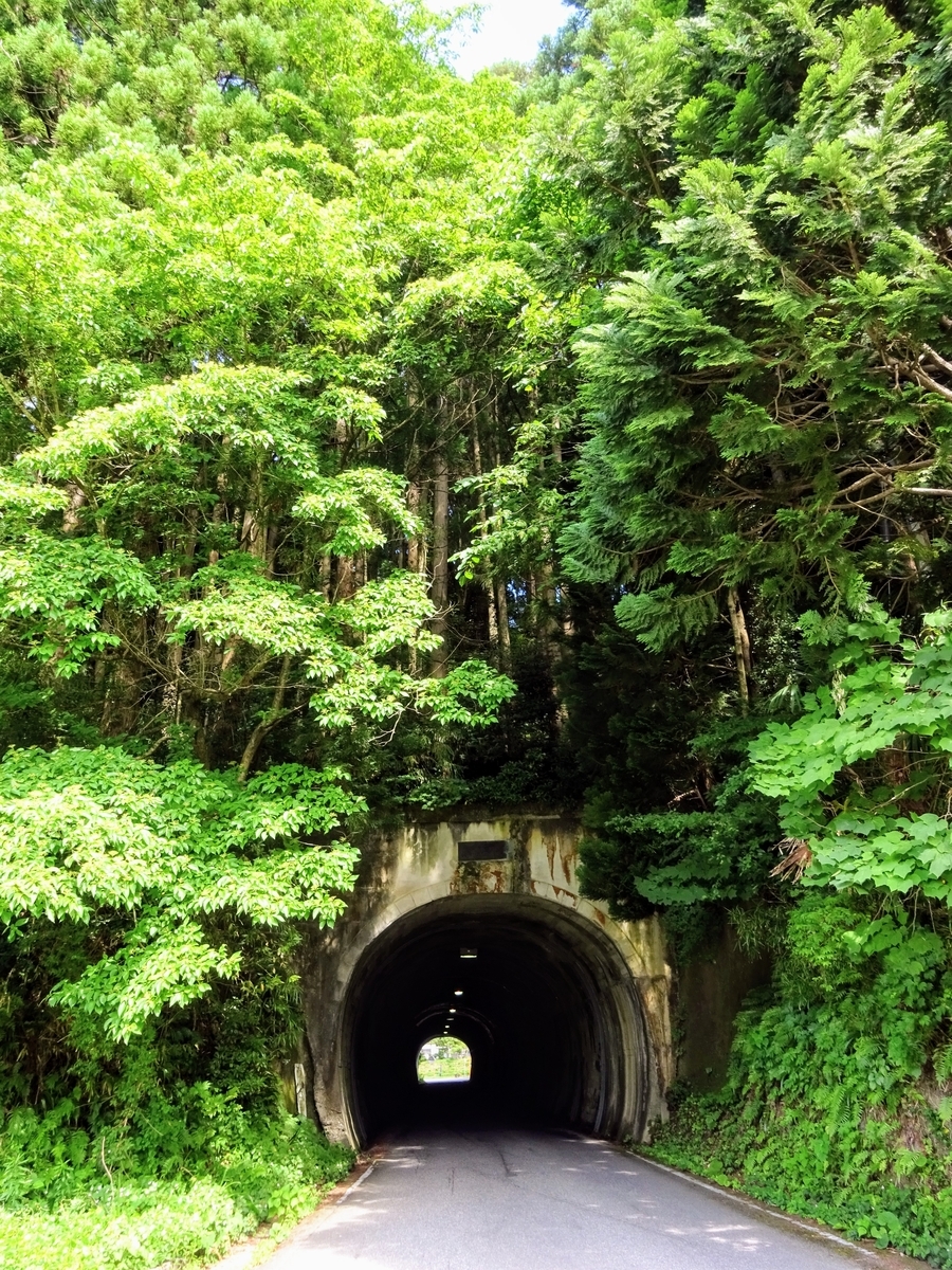旧) 国道160号 中村隧道 (2022. 7. 9.) - 交通遺産をめぐる