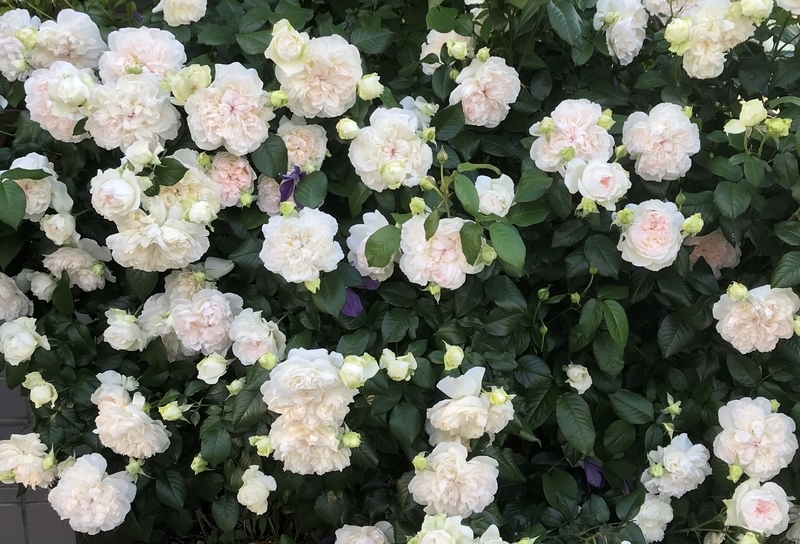 f:id:myautin:20220219143013j:plain