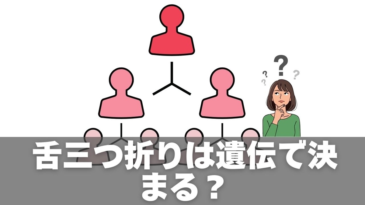 舌三つ折りの確率はどれくらい?推定割合と遺伝・練習方法を解説 - くらしのメモ帖