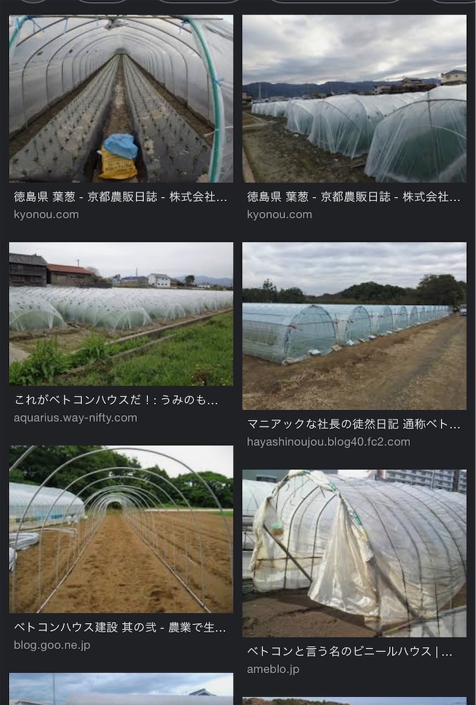 f:id:mycarrotdiary:20210325135303j:image f:id:mycarrotdiary:20210325135303j:image