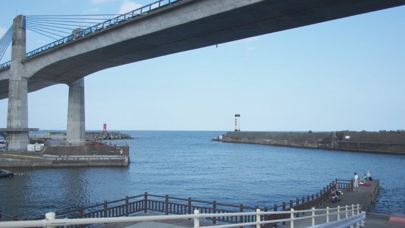 f:id:mycophobia:20140730134936j:image:w300