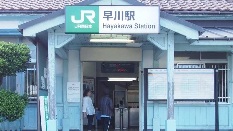 f:id:mycophobia:20140730134939j:image:w300