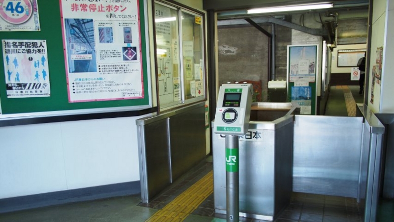 f:id:mycophobia:20140730134940j:image:w300