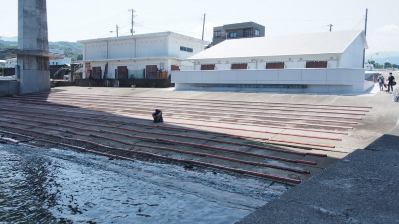 f:id:mycophobia:20140730135048j:image:w300