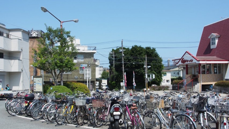 f:id:mycophobia:20140730135050j:image:w300