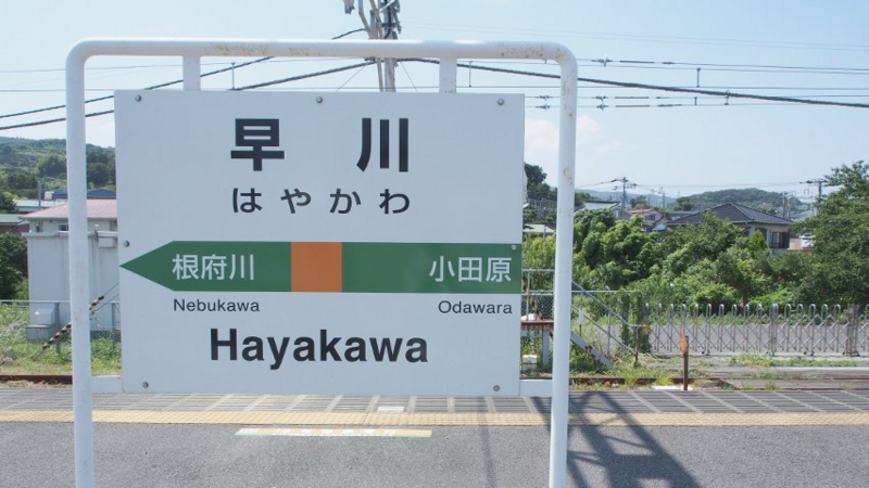 f:id:mycophobia:20140730135051j:image:w300