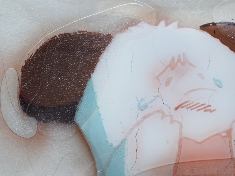 f:id:mycophobia:20150806095429j:image:w360 f:id:mycophobia:20150806095429j:image:w360