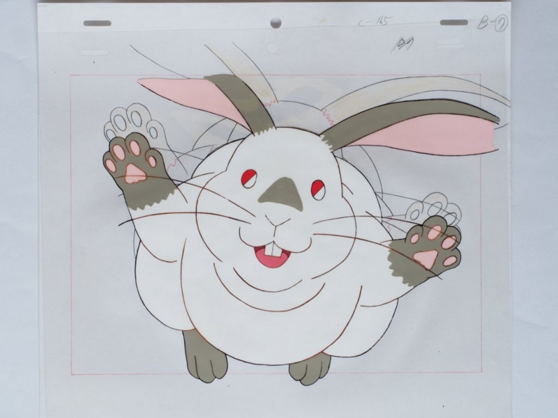 f:id:mycophobia:20150815102301j:image:w240 f:id:mycophobia:20150815102301j:image:w240