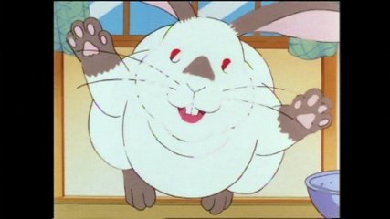 f:id:mycophobia:20150815140430j:image:w240 f:id:mycophobia:20150815140430j:image:w240