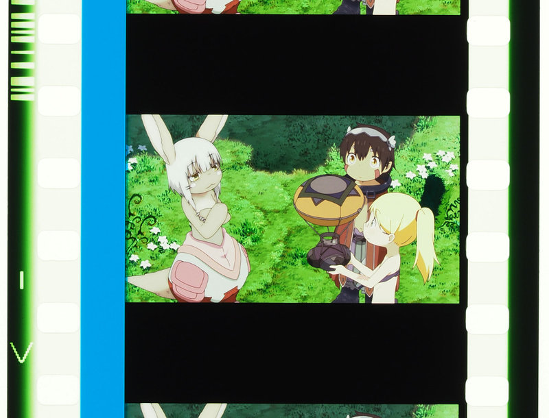 f:id:mycophobia:20190126111722j:image