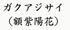 f:id:mydictionary:20170708091917j:image