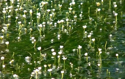 f:id:mydictionary:20170724060608j:image f:id:mydictionary:20170724060608j:image