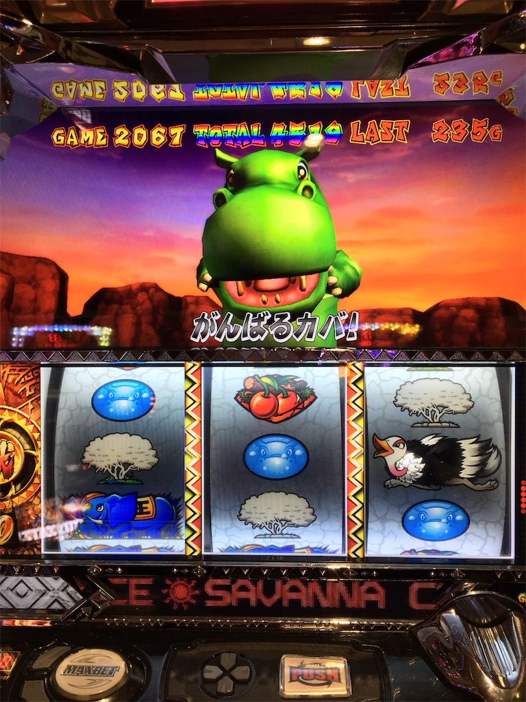 f:id:mydogfight2009:20190108220917j:image