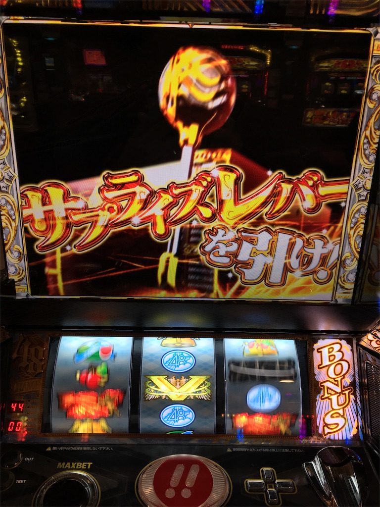 f:id:mydogfight2009:20190214175432j:image