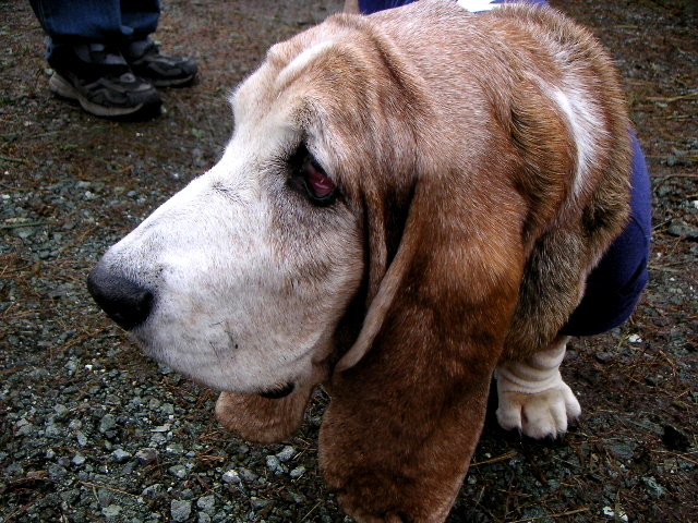 f:id:myfavorite-antiques:20111024211334j:image:w360:right f:id:myfavorite-antiques:20111024211334j:image:w360:right