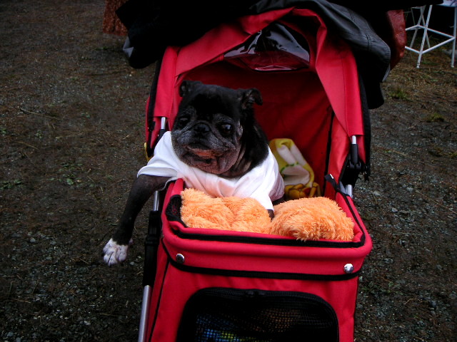 f:id:myfavorite-antiques:20111024211335j:image:w360:left f:id:myfavorite-antiques:20111024211335j:image:w360:left