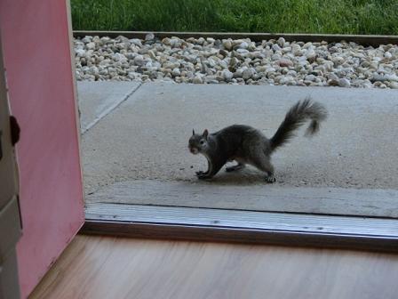 f:id:myfavorite-antiques:20140529085752j:image f:id:myfavorite-antiques:20140529085752j:image