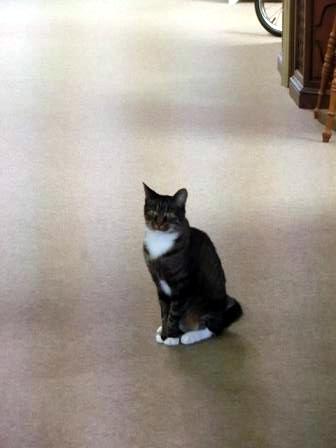 f:id:myfavorite-antiques:20140821101447j:image