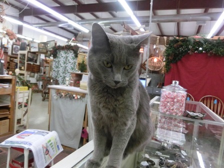 f:id:myfavorite-antiques:20141117181919j:image