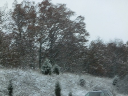 f:id:myfavorite-antiques:20141117181921j:image