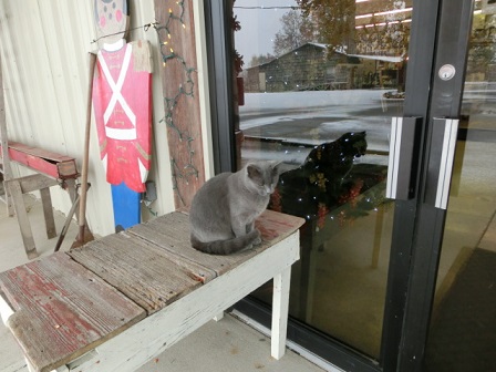 f:id:myfavorite-antiques:20141117181923j:image