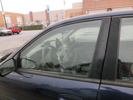 f:id:myfavorite-antiques:20141117181925j:image