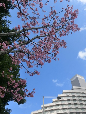 f:id:myfavorite-antiques:20160322120230j:image