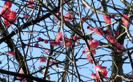 f:id:myfavorite-antiques:20170108080502j:image f:id:myfavorite-antiques:20170108080502j:image