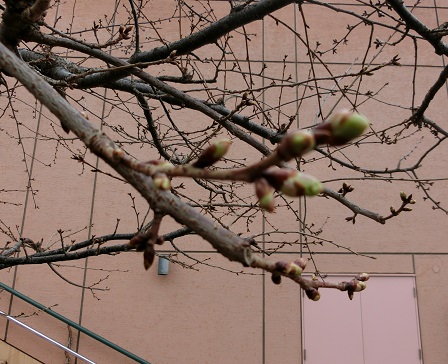 f:id:myfavorite-antiques:20170110084719j:image