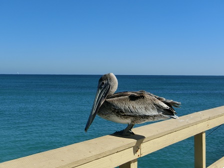 f:id:myfavorite-antiques:20170127172619j:image f:id:myfavorite-antiques:20170127172619j:image