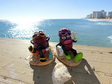 f:id:myfavorite-antiques:20170127172620j:image f:id:myfavorite-antiques:20170127172620j:image